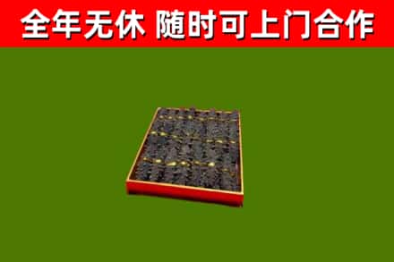 滨海烟酒回收海参.jpg